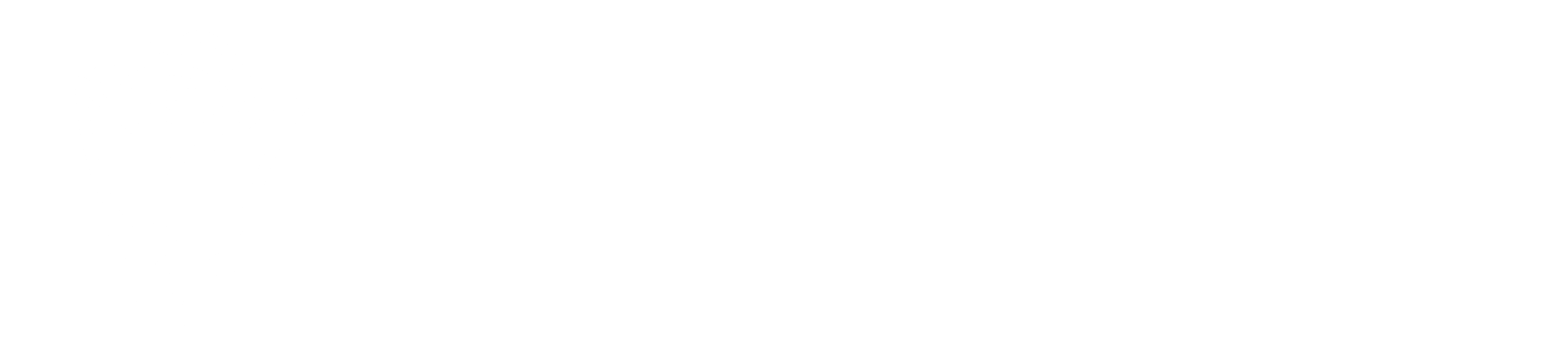 Sektion Acht (4)